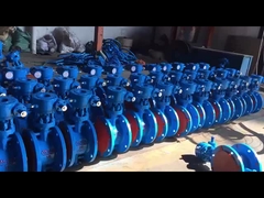 물, 증기 및 기름 사용을위한 주철 WCB 트리플 오프셋 플랜지 나비 밸브