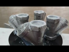 800PSI 스테인리스 스틸 304 316 CF8 CF8M BSP NPT 여성 스레드 Y 타입 스트레이너