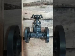 물 증기 오일 / 부식 액체에 대한 주사철 스테인레스 스틸 가조 게이트 밸브